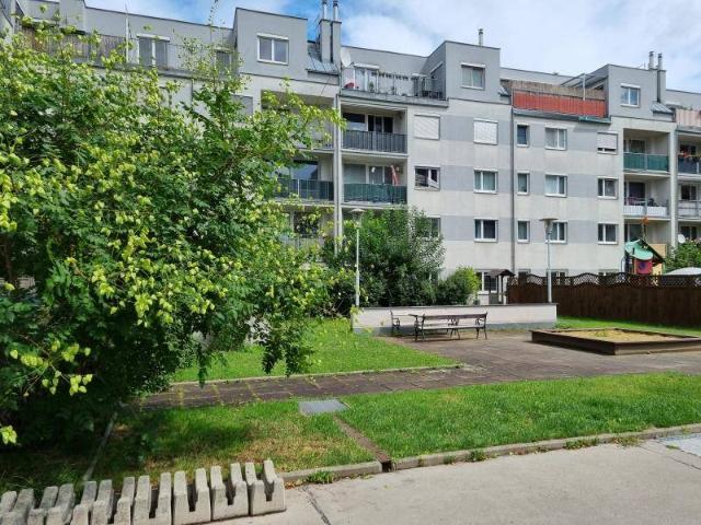 Gartenwohnung mit Perspektive