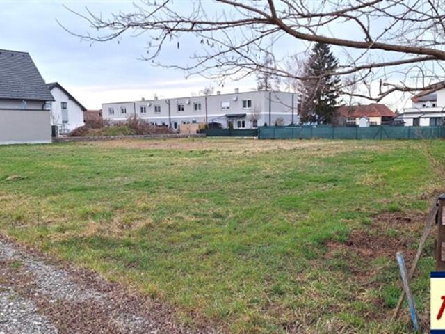 GARTEN in Ruhelage in der Gemeinde Zwentendorf zu pachten provisionsfrei !