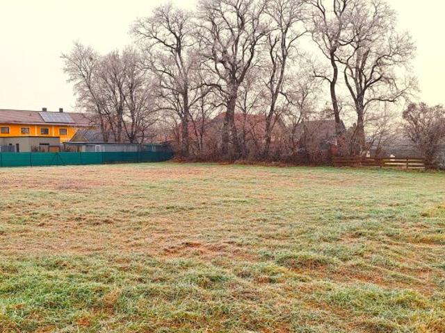 GARTEN in Ruhelage in der Gemeinde Zwentendorf zu pachten provisionsfrei !