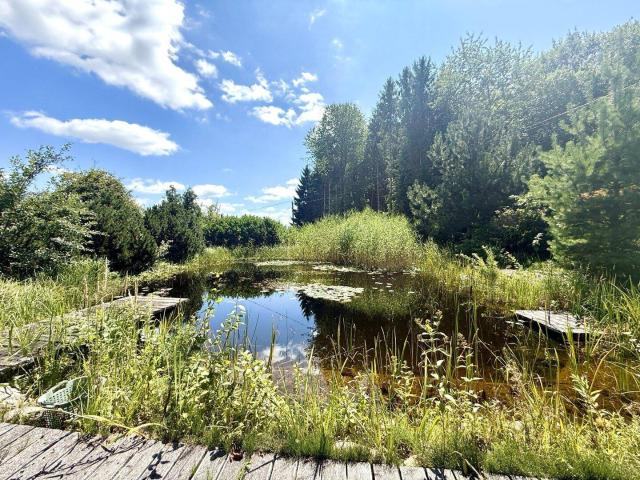 GARTENPARADIES Ländliches Idyll mit Reitplatz, Gästehaus & Schwimmteich ca. 1,2ha