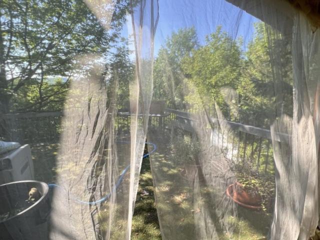 Gartenparadies mit idyllischem, finnischem Holzhaus wird zum Kauf angeboten Perfekt für Familien und Ruhesuchende!