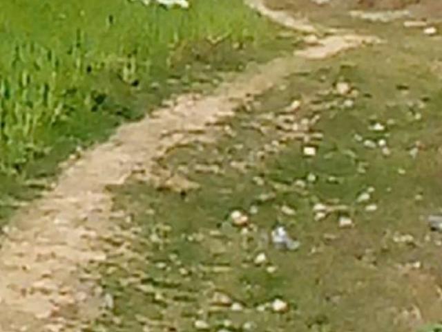 Gar bana k liya zabar10 hai sat ma gar bana howa b hai Swabi ID 60694