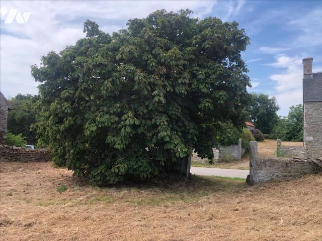 Garage en vente à Vicq sur Mer, Normandie, 127200€