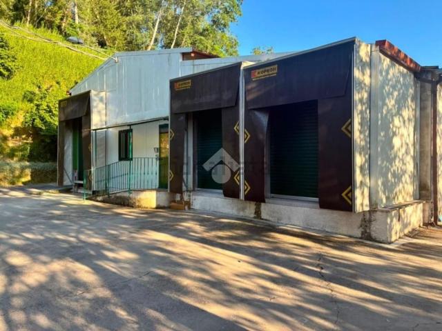 Garage in affitto di m²