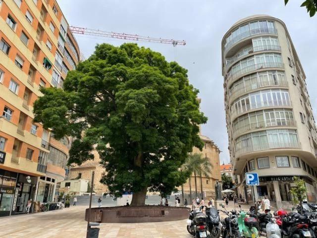 Garaje, Centro Histórico, Málaga
