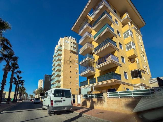 Garaje, Guardamar del Segura