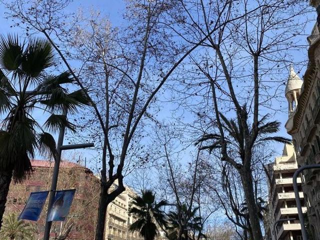 Garaje en venta en avenida Diagonal, Barcelona, de 21 m² por 39.900