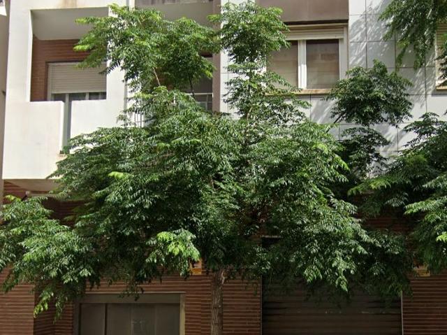 Garaje en venta en Torrevieja