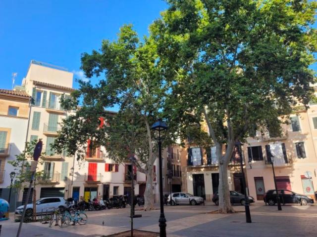 Garaje, Sindicat, Palma de Mallorca