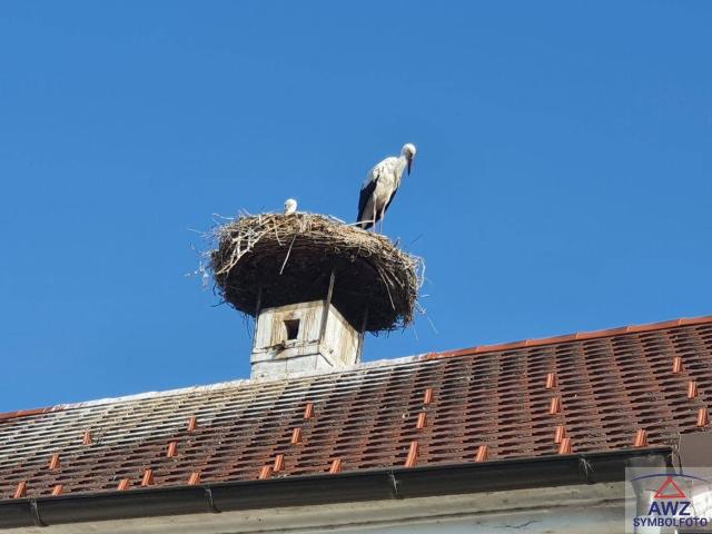 Garconniere in Toplage! Ideal zum Vermieten!