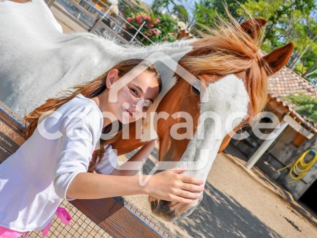 GARD 30 À VENDRE Fonds de Commerce de Promenade à Cheval à proximité de la mer en petite Camargue 10 000 m 2