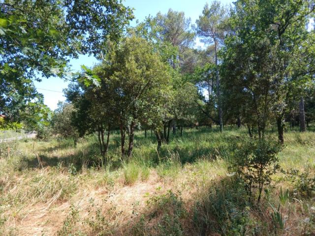 Garéoult Vente Terrain 83