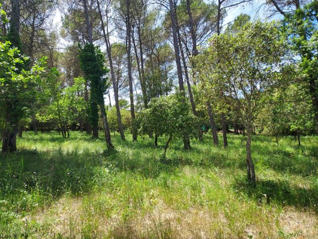 Garéoult Vente Terrain 83