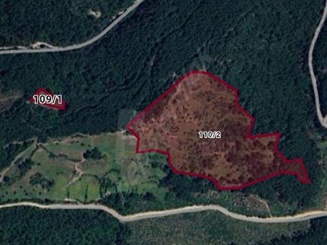 GARİPOĞULLARI GAYRİMENKUL'DEN SATILIK ZEYTİNLİ TARLA