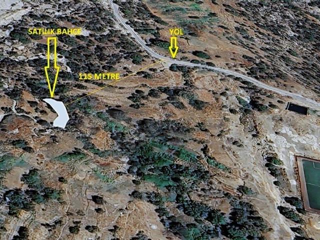 GARİPOĞULLARI'NDAN 250 METREKARE BAHÇE