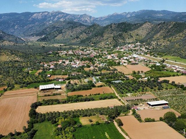 GARİPOĞULLARI'NDAN DERİNCE'DE 1659 m ZEYTİNLİK