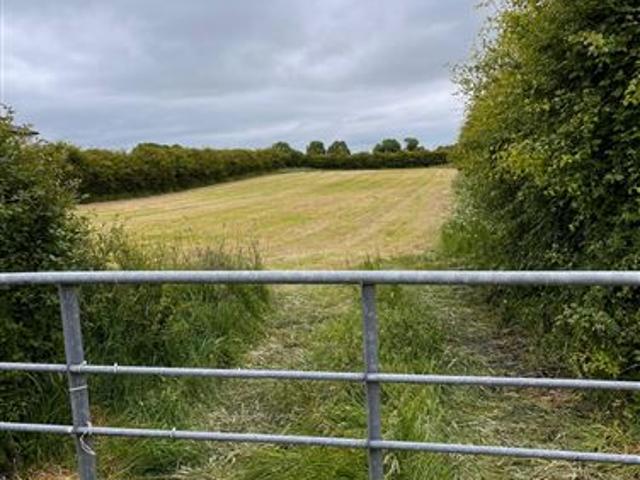 Garrenroe, Thurles, Tipperary Blake Auctioneers 4838 MyHome. Ie Residential
