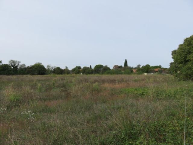 Garrigues Sainte Eulalie Vente Terrain 30