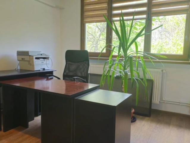Garsonieră de închiriat – ideală pentru birou/cabinet, Țiglina 1