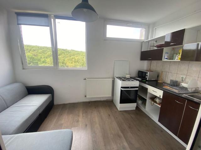 Garsonieră de închiriat în Mănăștur, Cluj Napoca, Cluj Napoca, 30 mp