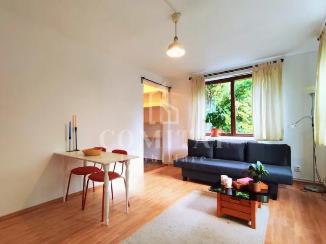 Garsonieră modernă în Piața Cipariu | Renovată | Prima închiriere!