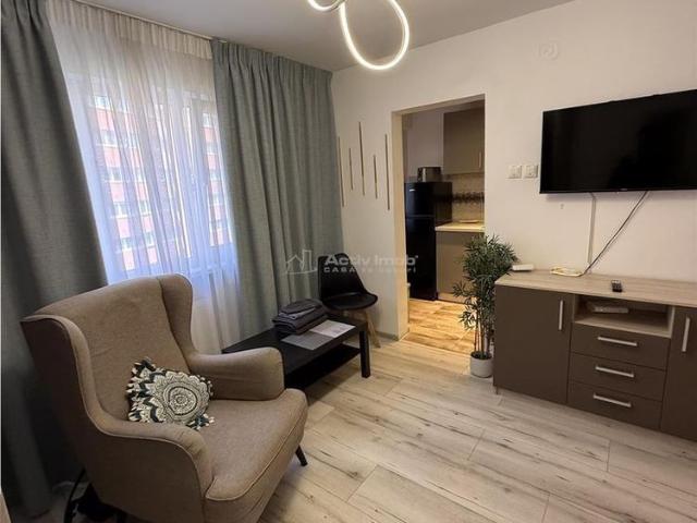 Garsonieră Modernă Tei