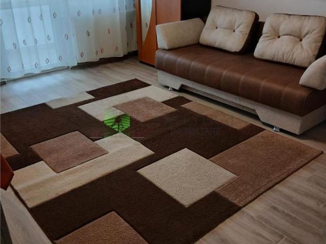 GARSONIERA MOBILATA UTILATA FAGET,350 EURO