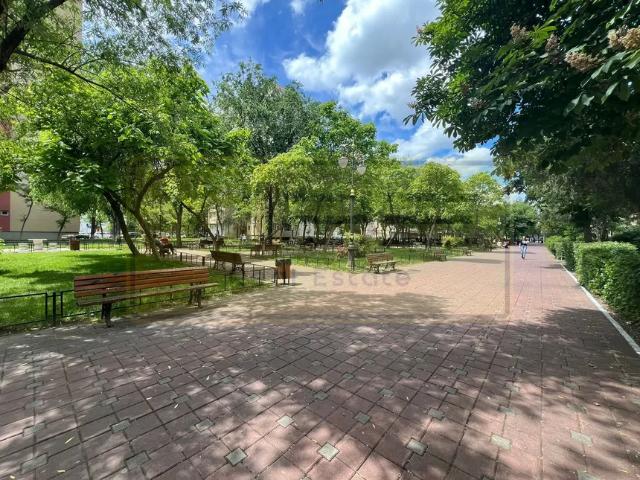 Garsoniera Alexandru cel Bun Parcul Voievozilor