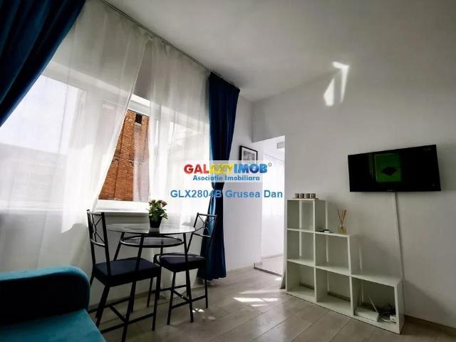 Garsoniera Pet&Foreigners Friendly Universitate G 384