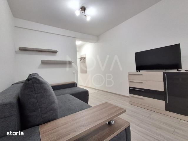 Garsoniera Prima Inchiriere Cartierul DaVinci