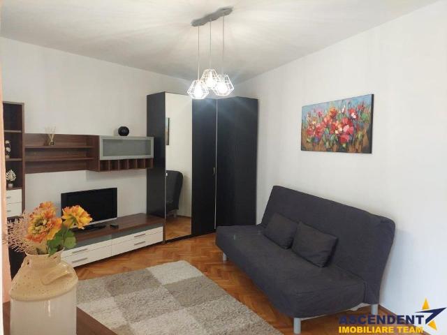Garsoniera, priveliste frumoasa, pet friendly, loc parcare, Schei,Brasov