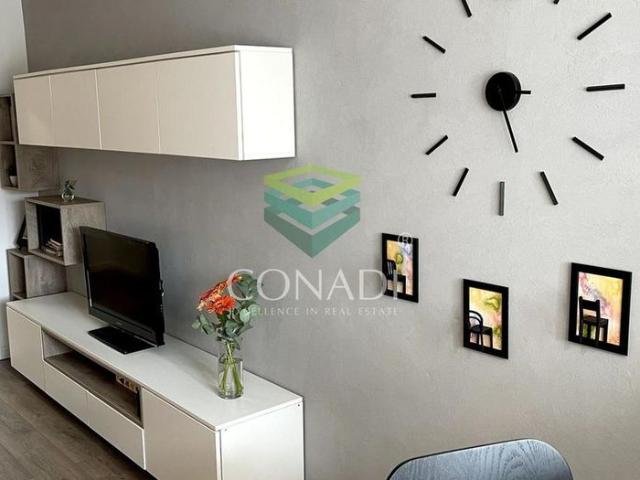 Garsoniera renovata modern str Nada Florilor Teiul Domnei