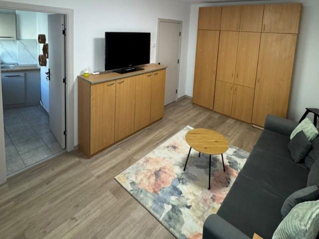 Garsoniera renovata la prima inchiriere zona Lidl Carpatilor