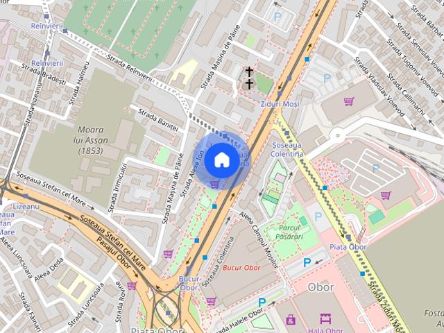 Garsoniera Teiul Doamnei Obor