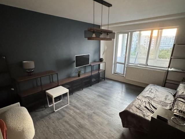 GARSONIERA TINERETULUI, PET FRIENDLY, METROU 6 MINUTE, BOILER