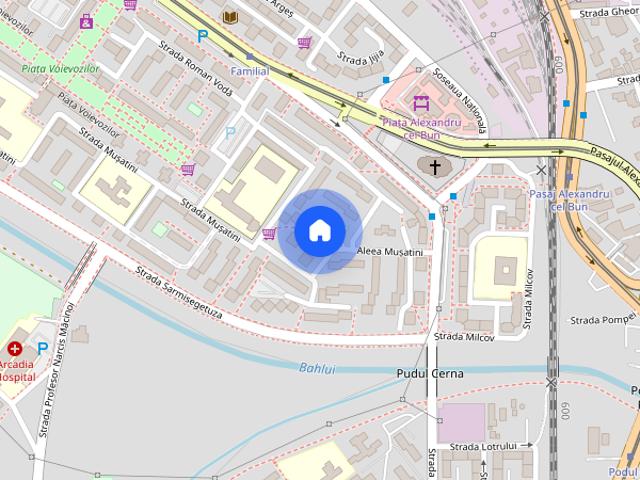 Garsoniera zona Alexandru cel Bun Aleea Musatini Pet Friendly