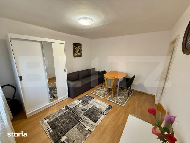 Garsoniera 36 mp, centrala proprie, Etaj 1, Brazda lui Novac