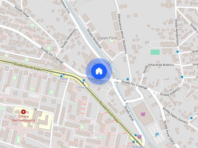Garsoniera 32 mp, Et. 1,zona Flora, Tătărași