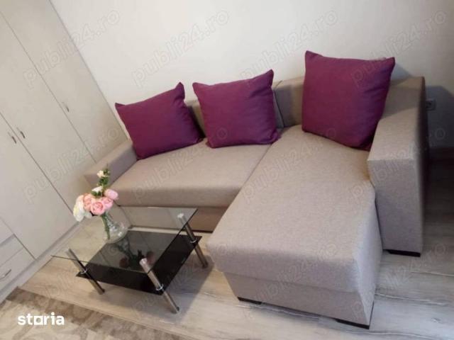 Garsoniera\Rosu\Mutare imediata\Anaf\Petfriendly