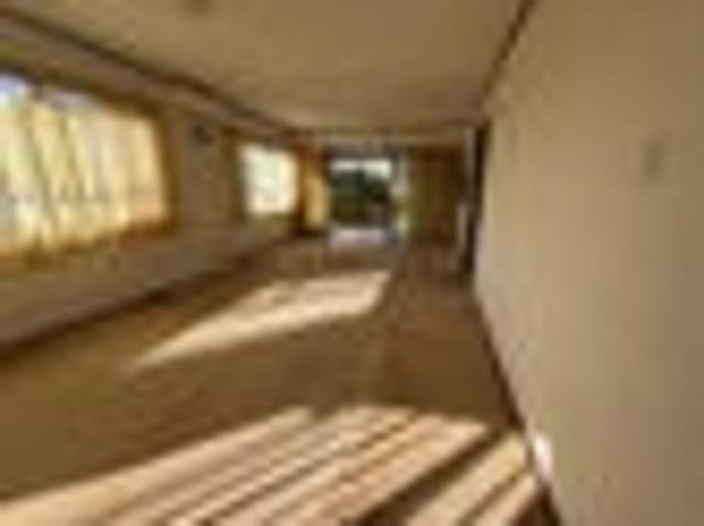 Gate Pa, 3 bedrooms, $690 pw