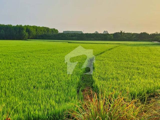 Gated Society | 2 Kanal 6 Marla Farmhouse Land | Just 3 KM from DHA Phase 7 | Barki Road