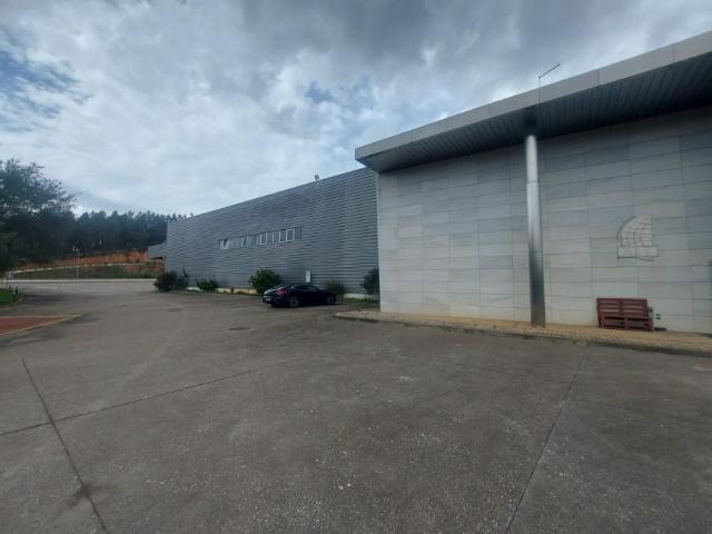 Gavião Portalegre 6040 100 90974096