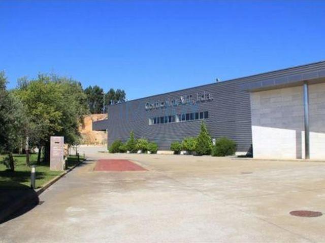 Gavião Portalegre 6040 100 96332719