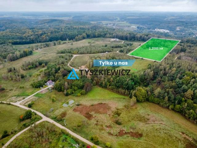 Gawronia 22 000 m², Przywidz
