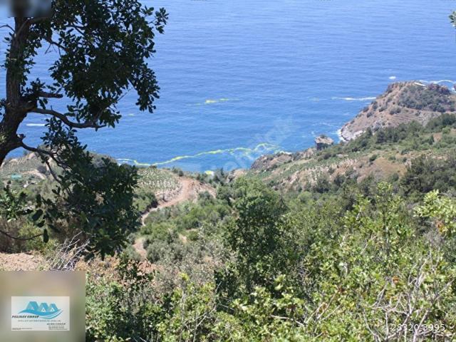 GAZİPAŞA SATILIK DENİZ MANZARALI ARSA 650 M2 ZEYTİNADA