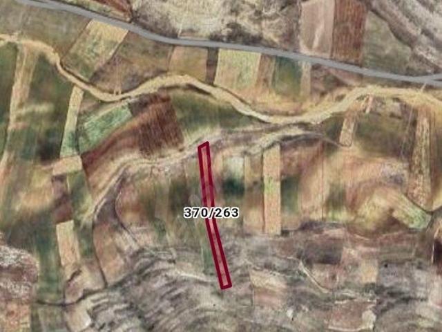 Gazipaşa Yunt Yaylası'nda Satılık Tarla
