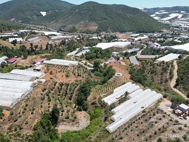 Gazipaşa Kırahmetler'de 5 Dönüm Tarla ve Sera
