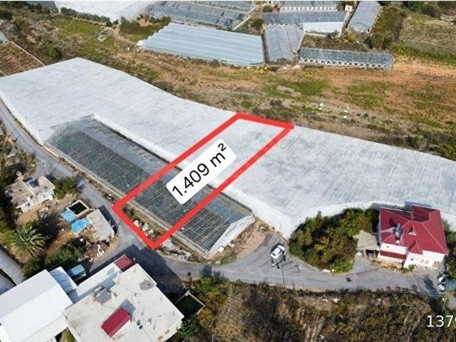 Gazipaşa Muzkent Mahallesi'nde Satılık Tarla