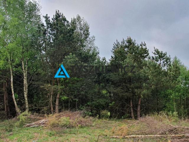 Gdańsk, Kokoszki, Sianowska, 1 395 m2
