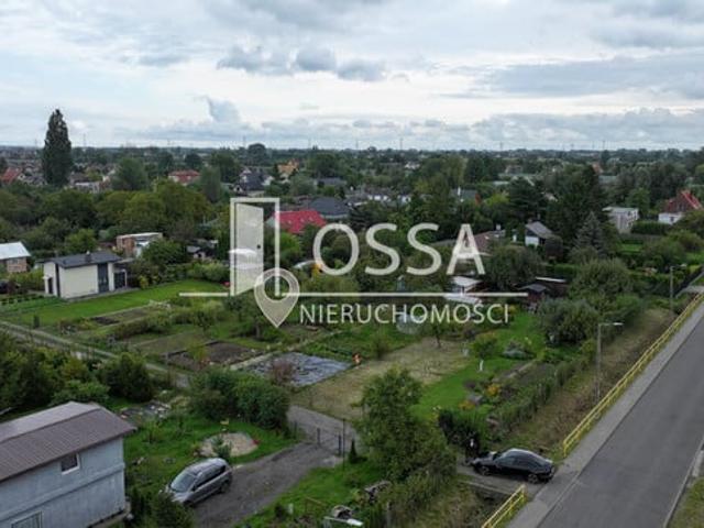 Gdańsk, Olszynka, Bratki